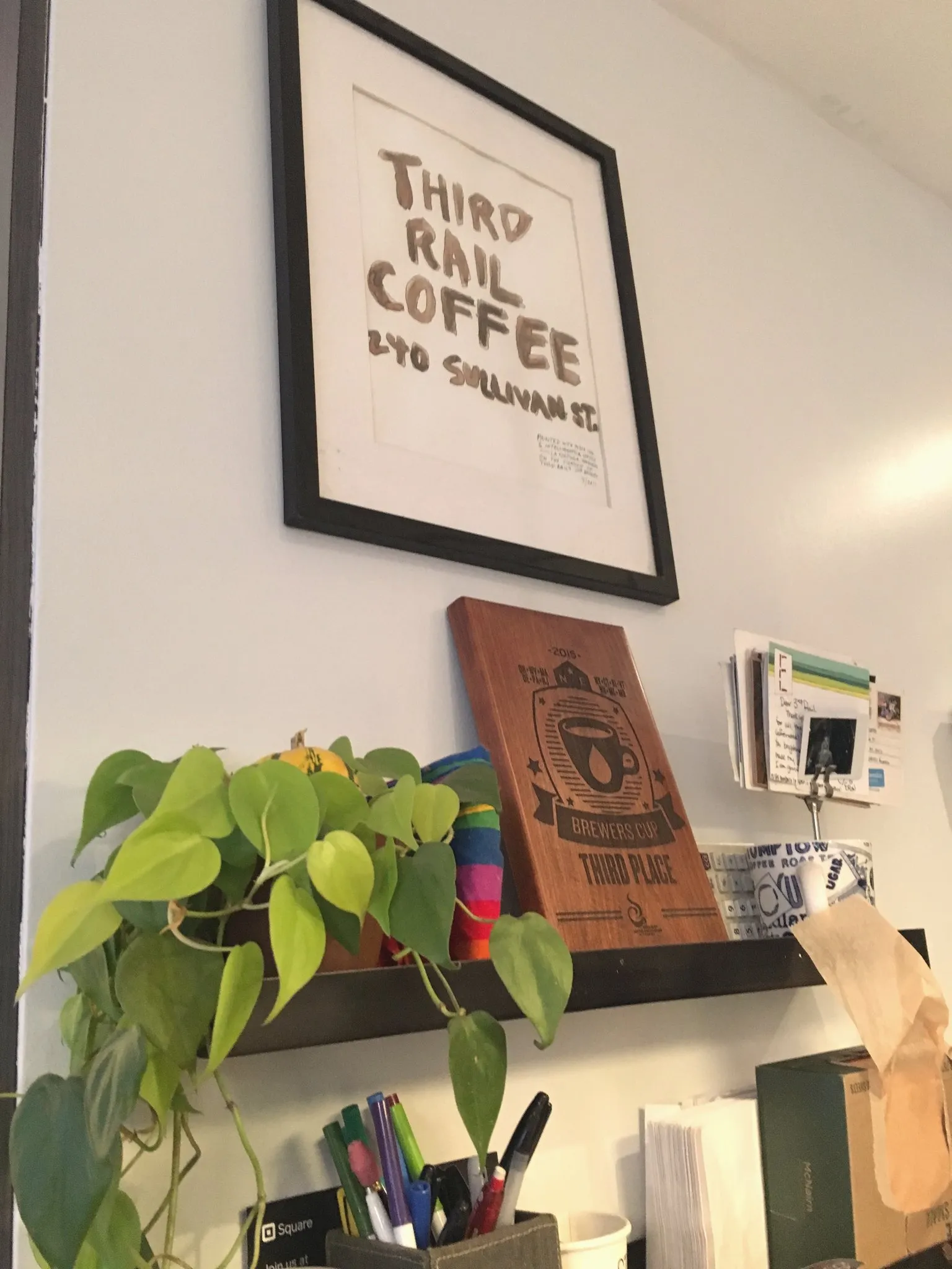 Shelves and plants on a cafe wall in New York