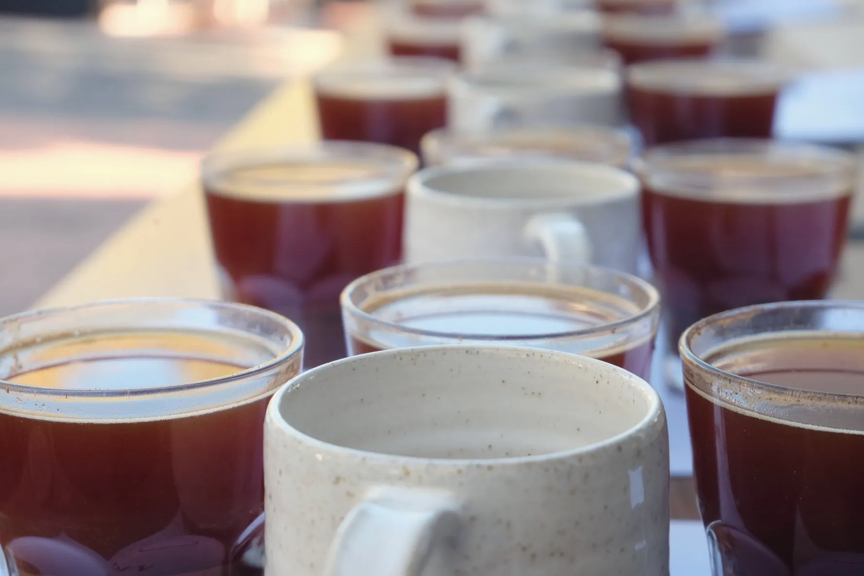 Coffee cupping glasses ready for tasting