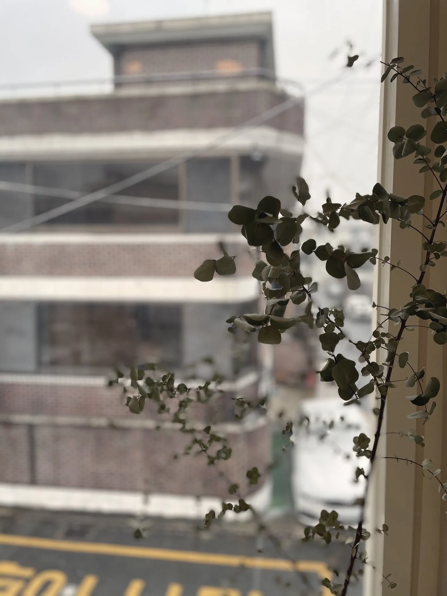 Snow falling on a street in Seochon, Seoul