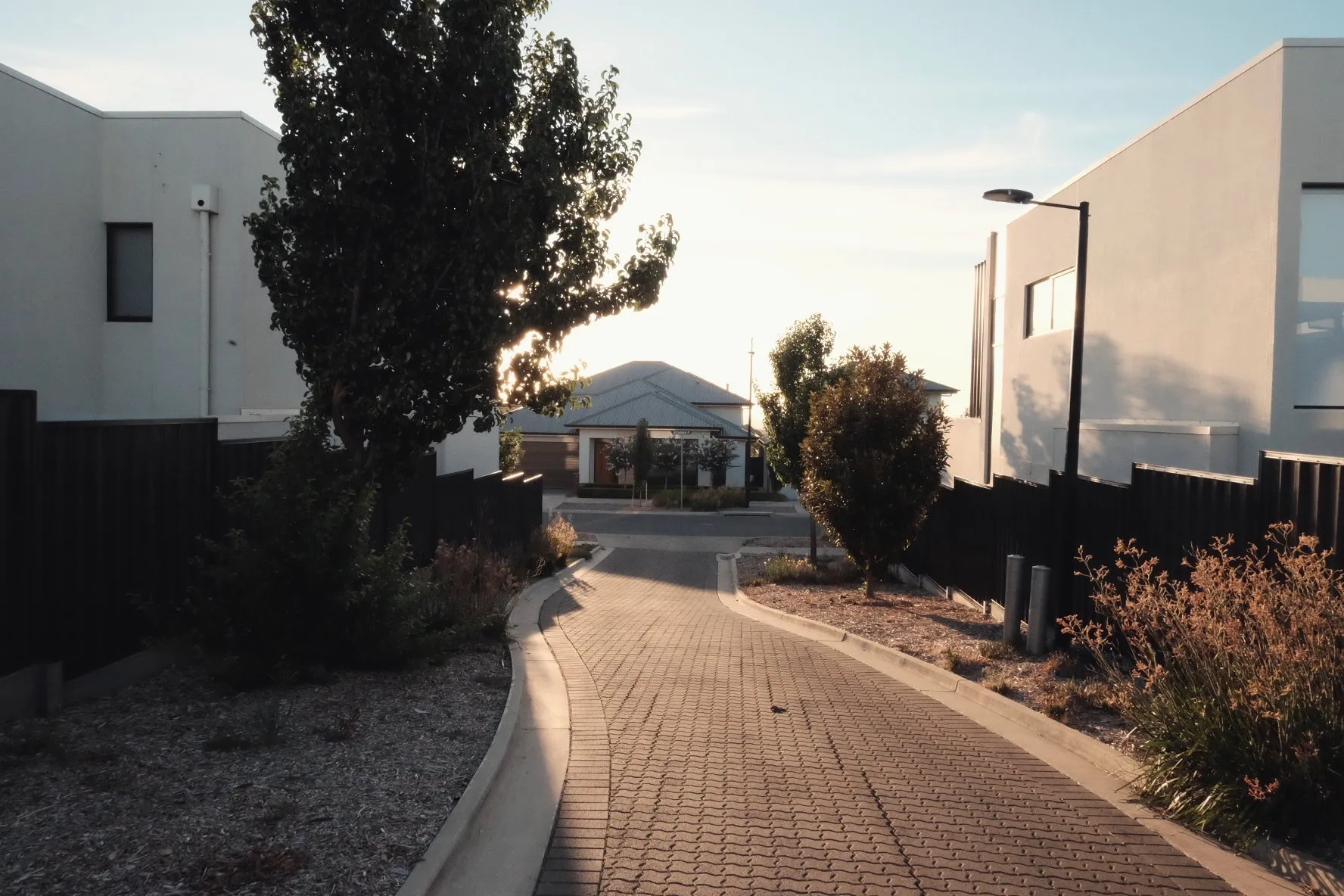 A quiet street between suburban houses at golden hour
