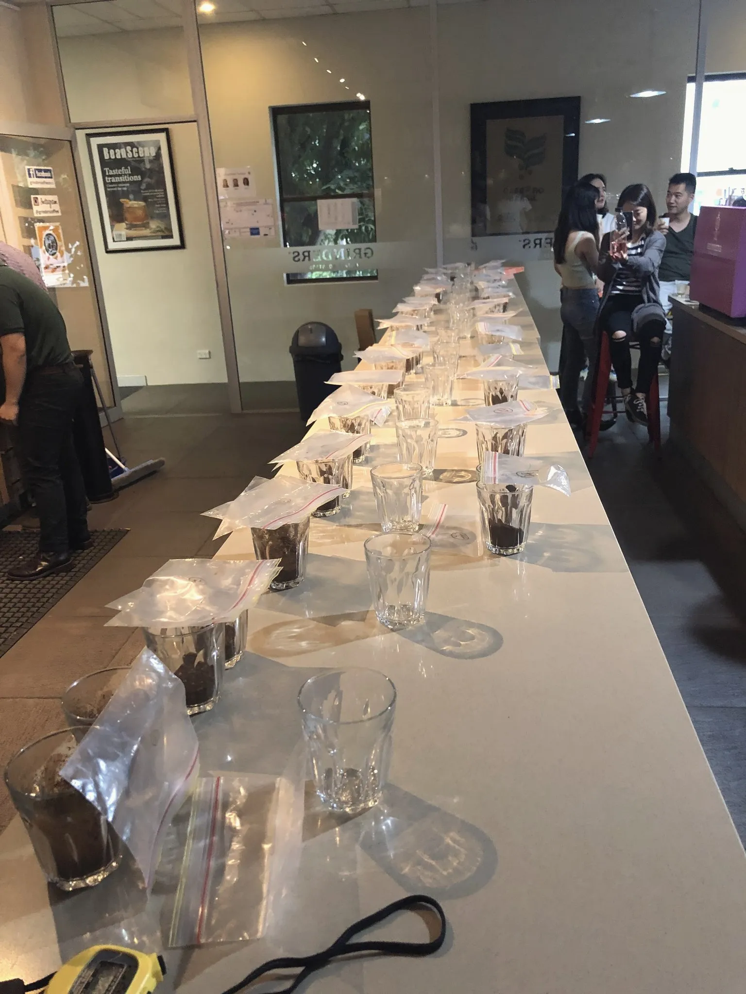 A long cupping table with rows of coffee cups in Sydney